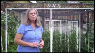 Quick Shade Canopy For The Vegetable Garden