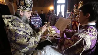 Хиротония во диакона Анатолия Гольдмана 2018 / The Ordination to diaconate Anatoliy Goldman