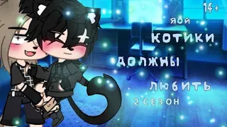 Котики должны любить [Яой, Озвучка, Сереал] 2 сезон ЛГБТ