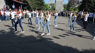 Команда «7Dance», Визитка