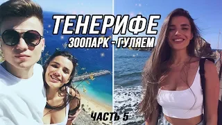 ВЛОГ! ГУЛЯЕМ ПО ОСТРОВУ, ПРОБУЕМ МЕСТНУЮ ЕДУ, ЗООПАРК НА ТЕНЕРИФЕ, ИСПАНИЯ.