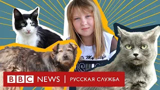 Девочка с кошками. Как ребенок в Донбассе помогает брошенным животным