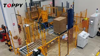 Automatic Pallet Changer  (BOLLORE' _ LILLY FRANCE)