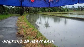 Walking in Heavy Rain | rain sound for Anxiety Stress Free Sleep. rain for sleep