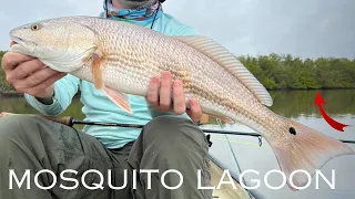 3-16-24 fly fishing SLAM in the mosquito lagoon.