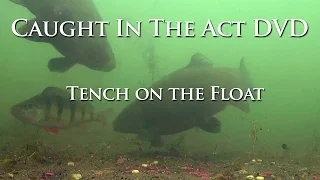 Tench on the Float - Caught In The Act DVD