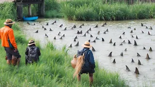 What They Captured In A River Shocked The Whole World