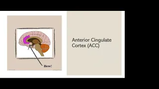 Neurobiology of Trauma_Module 2_SLWK 727