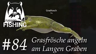 Russian Fishing 4 #84 | Grasfrosch angeln und Köder herstellen am Langen Graben | Deutsch / German