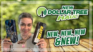 *** NEW Dollar Tree Haul *** The Forgotten Haul! 4/15/24