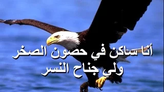 متعلمتش اعيش وانا خايف المرنم مجدى عيد