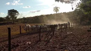 MÚSICA DE ZÉ HENRIQUE E GABRIEL:PEÃO. FINAL DE TARDE FAZENDA SOSSÊGO