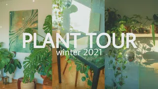 HOUSEPLANT TOUR | winter 2021