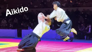 Amazing! Aikido is demonstrated at the KUDO tournament by Shirakawa Ryuji