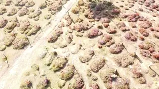 Sad Hill Cemetery Spain Sept 2023 from the film The Good The Bad & The Ugly