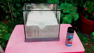 Fabrication d'un Terrarium pour mes Fourmis ( Messor Barbarus ) Partie 2