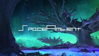 Dreamstate Logic - Bioluminescent Forest [SpaceAmbient Channel]