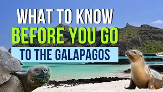 15 Things You Should Know Before You Go to the Galapagos Islands