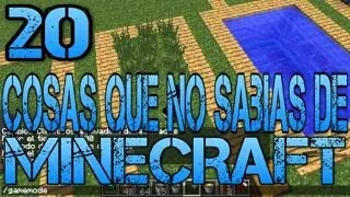 20 Cosas que no sabias sobre Minecraft!