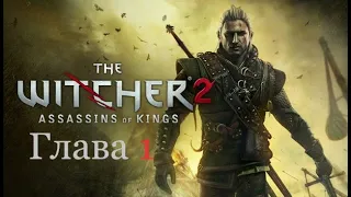 The Witcher 2 Assassins of Kings 2011 Игрофильм Глава 1 Основной сюжет на Русском языке