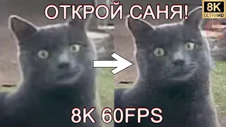 ОТКРОЙ САНЯ! 8K 60FPS😼😼😼