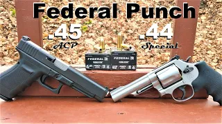 ✅New✅ .44 Special Federal Punch 👊 VS .45 ACP! Big Bore Ballistic Test