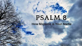 The Book of Psalms | Psalm 8 | How Majestic is Your Name | Audio Bible