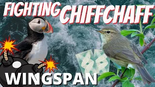 Wingspan Strategy | Explaining Mass Tucking Chiffchaff Engines | Wingspan Board Game Gameplay