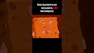 Идеальный мир би лайк: