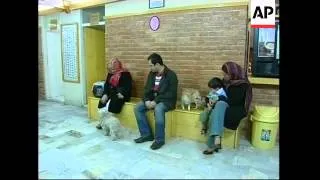 Animal hospital treats Tehran's pets