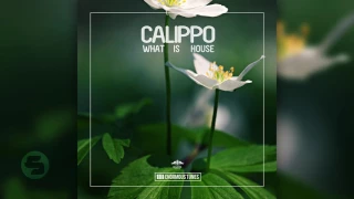 Calippo - What Is House