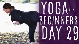 Yoga For Beginners at home 30 Day Challenge (30 min class) Day 29