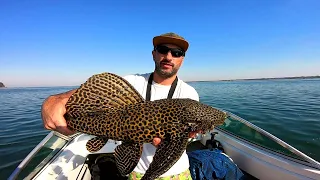 Pesqué y filmé especies raras. En Corrientes Itá Ibaté, "Pousadas puerto paraíso" PESCA URBANA