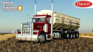 Farming Simulator 19 - PETERBILT TENDER TRUCK Picks Up The Barley From The Field