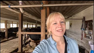 Spend a day on the farm with me! #farming #dairyfarm 🚜🐄