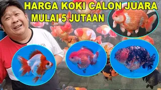 HARGA 5 JUTAAN KOKI CALON JUARA DI DVAN GALLERY