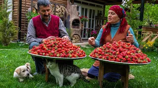 Making Fresh Strawberry Jam and Cake in the Village