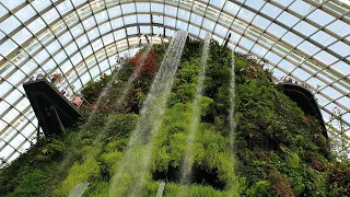 Cloud Forest Gardens by the Bay, A Hidden Jungle & Giant Waterfall Marina Bay Sands Singapore 2019