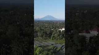 Bali Volcano #shorts #shorts2022 #bali #indonesia #nature #drone #ricefield #volcano #beautiful