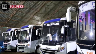 THE GUARDIAN ANGEL AND EASY COACH BUSES PREPARING FOR EVENING DEPATURES