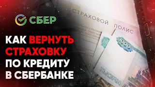 Как вернуть страховку по кредиту в Сбербанке