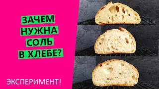 Зачем соль в хлебном тесте? Как она влияет на результат? {НАГЛЯДНЫЙ ЭКСПЕРИМЕНТ}