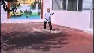 Shang Xing Yi Quan - Shang Zhirong - Demonstration of Wu Xing (82 years old)