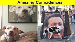 Amazing Coincidences Caught at the Perfect Moment