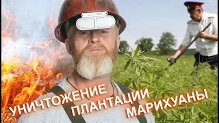 Андрей Кабанов про пожар плантации марихуаны