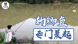 The crucian carp fishing is still in the morning, and Lao Cao uses a special crucian fishing rod!