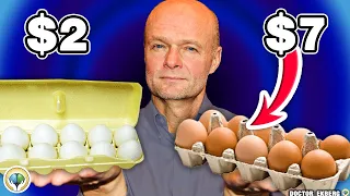 Organic Eggs vs Regular Eggs - Which Is Better For You? - Dr Ekberg