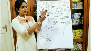 NEUROANATOMY-DEVELOPMENT OF THE NERVOUS SYSTEM-PART-1-NEURULATION-DR ROSE JOSE MD