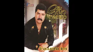 EL GATO NEGRO MIX