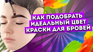 КОЛОРИСТИКА КРАСОК ДЛЯ БРОВЕЙ (УГТ, ЦН). ЦВЕТОТИПЫ ДЛЯ БРОВИСТОВ